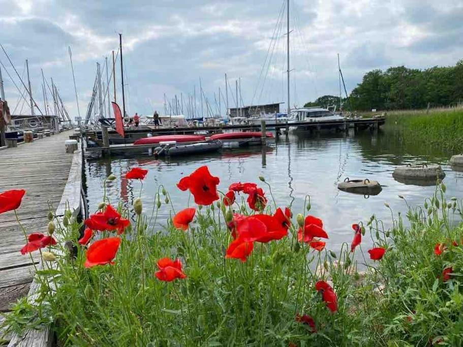 Ferienhaus Mit Wasserblick Auf Der Insel Usedom Krummin Exteriör bild
